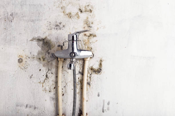 Best HVAC Mold Remediation in Ingalls Park, IL