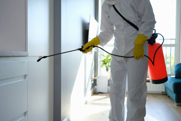 Best Post-Flood Mold Remediation in Ingalls Park, IL