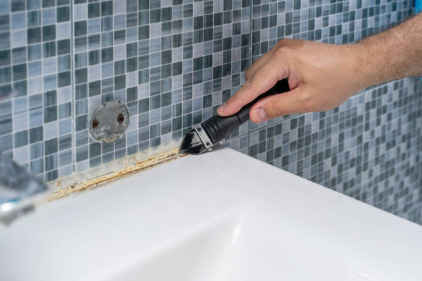 Best Mold Remediation for Specific Building Types in Ingalls Park, IL
